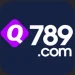 Q789 Game